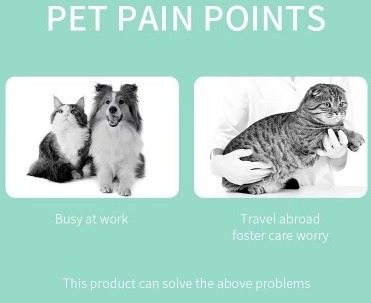 Automatic Pet Feeder Supplier
