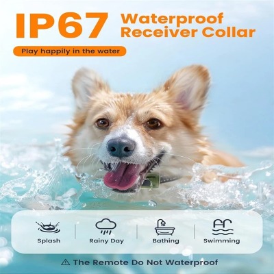 Smart WiFi-Enabled Automatic Pet Feeder