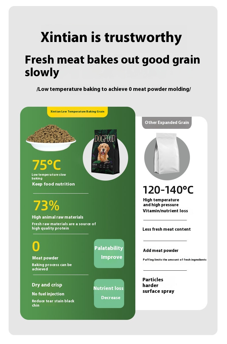 Automatic Pet Feeder Supplier
