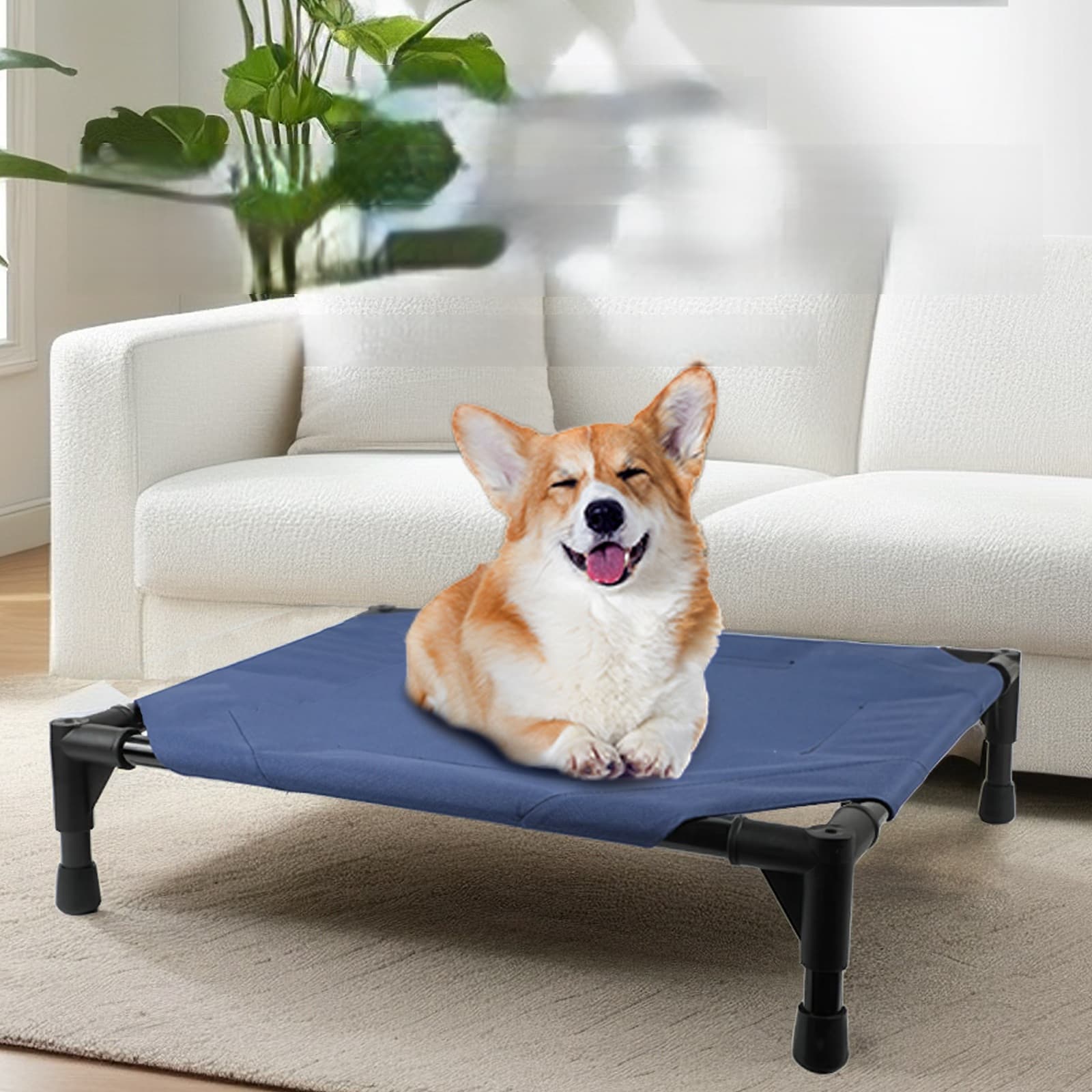 camping dog bed