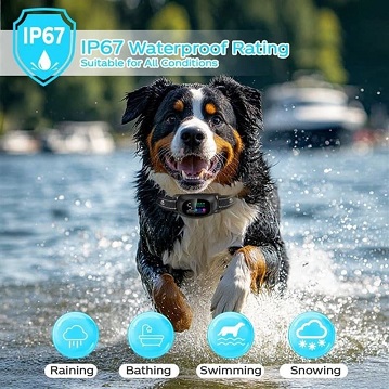 Smart Pet Wearables Usher in a New Era of Pet Health Management
