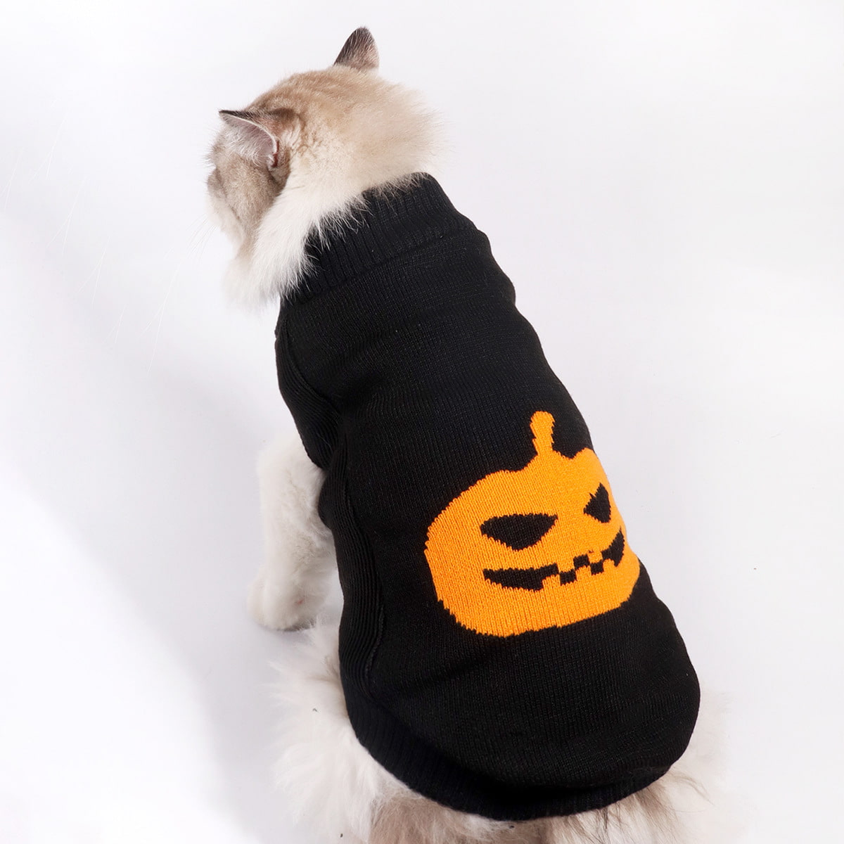 ,acrylic pet clothing